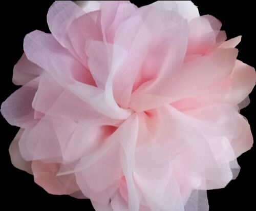 Fiore rosa fuxia - immagine 2