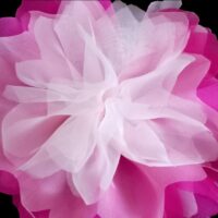 Fiore rosa fuxia