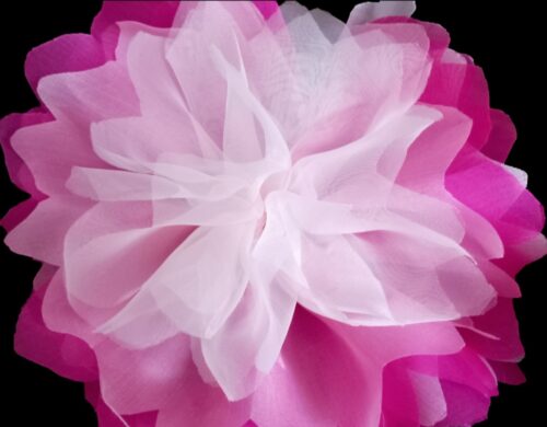 Fiore rosa fuxia