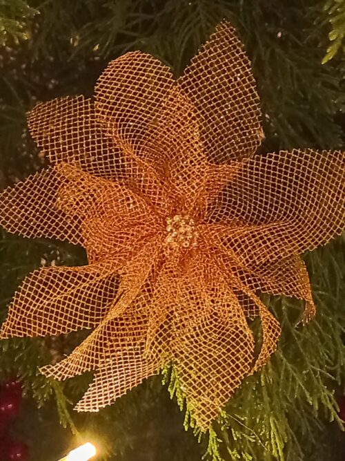 stella di natale color oro